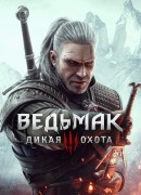 Fans are working on a gwent remake for the witcher 3 with 500 cards a deck builder and an online mode
