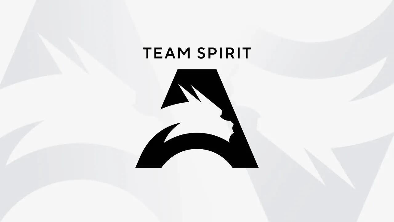 Former team spirit captain in counter strike 2 evaluates the new rosters form