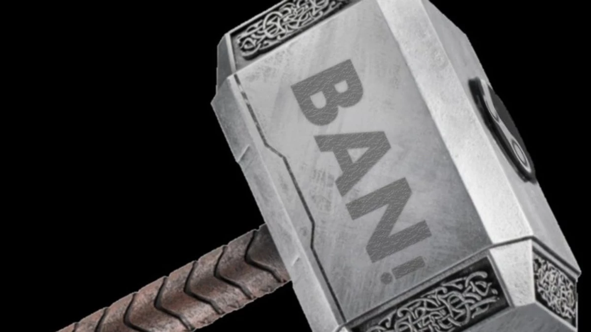 Rmt players of world of warcraft couldnt dodge the ban wave right during the raid